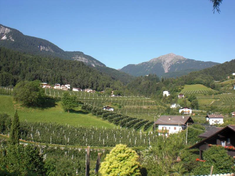 Residence Rebgut Tesimo 5 suedtirol.info