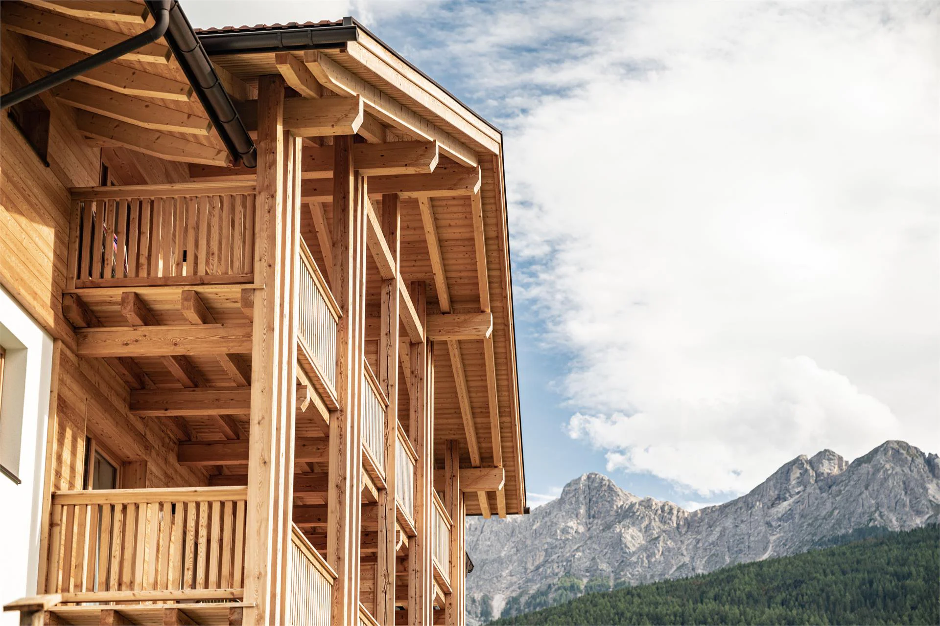 Residence Maximilian Olang/Valdaora 7 suedtirol.info