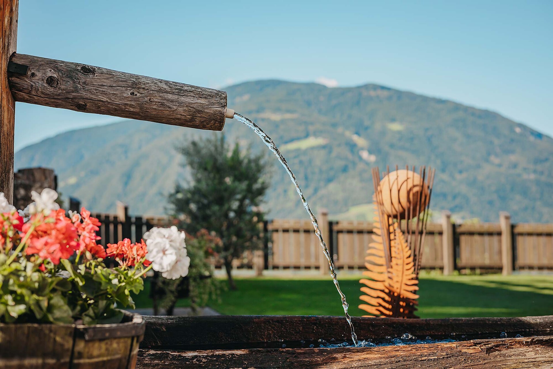 Residence Plunger