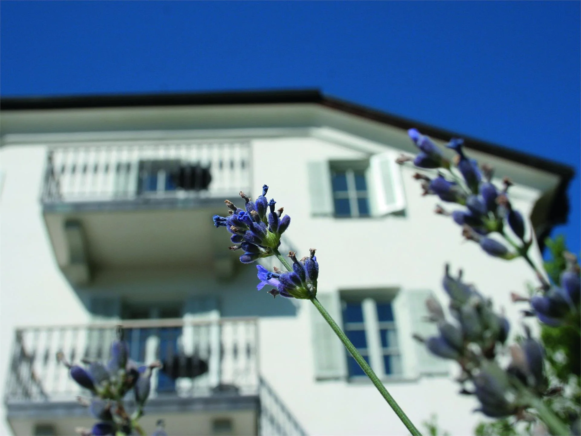 Residence Frühmesserhaus Refugium zu Sanct Kassian Algund/Lagundo 1 suedtirol.info