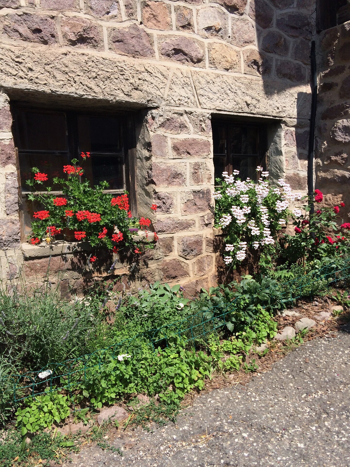 Blumen