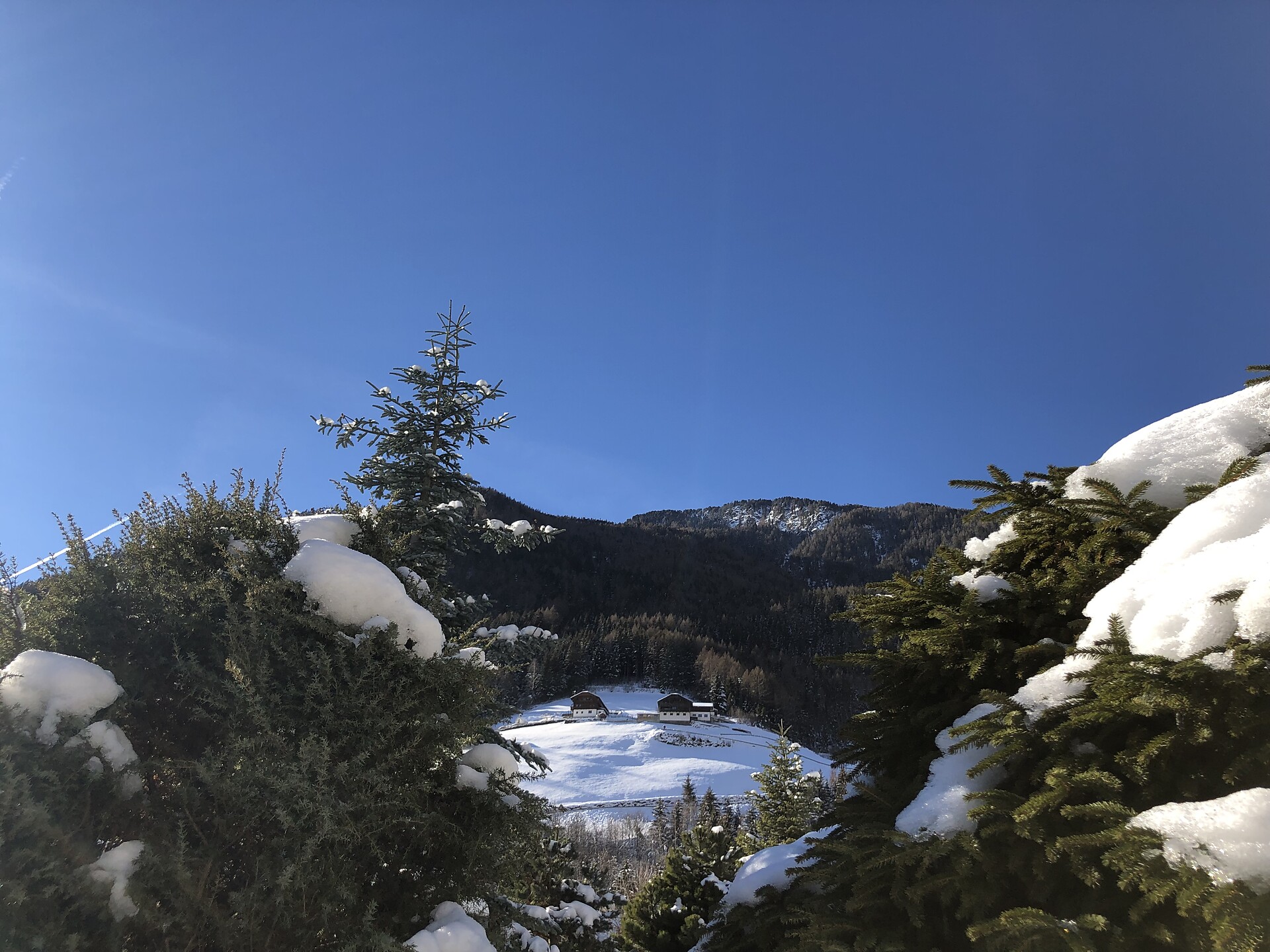 view