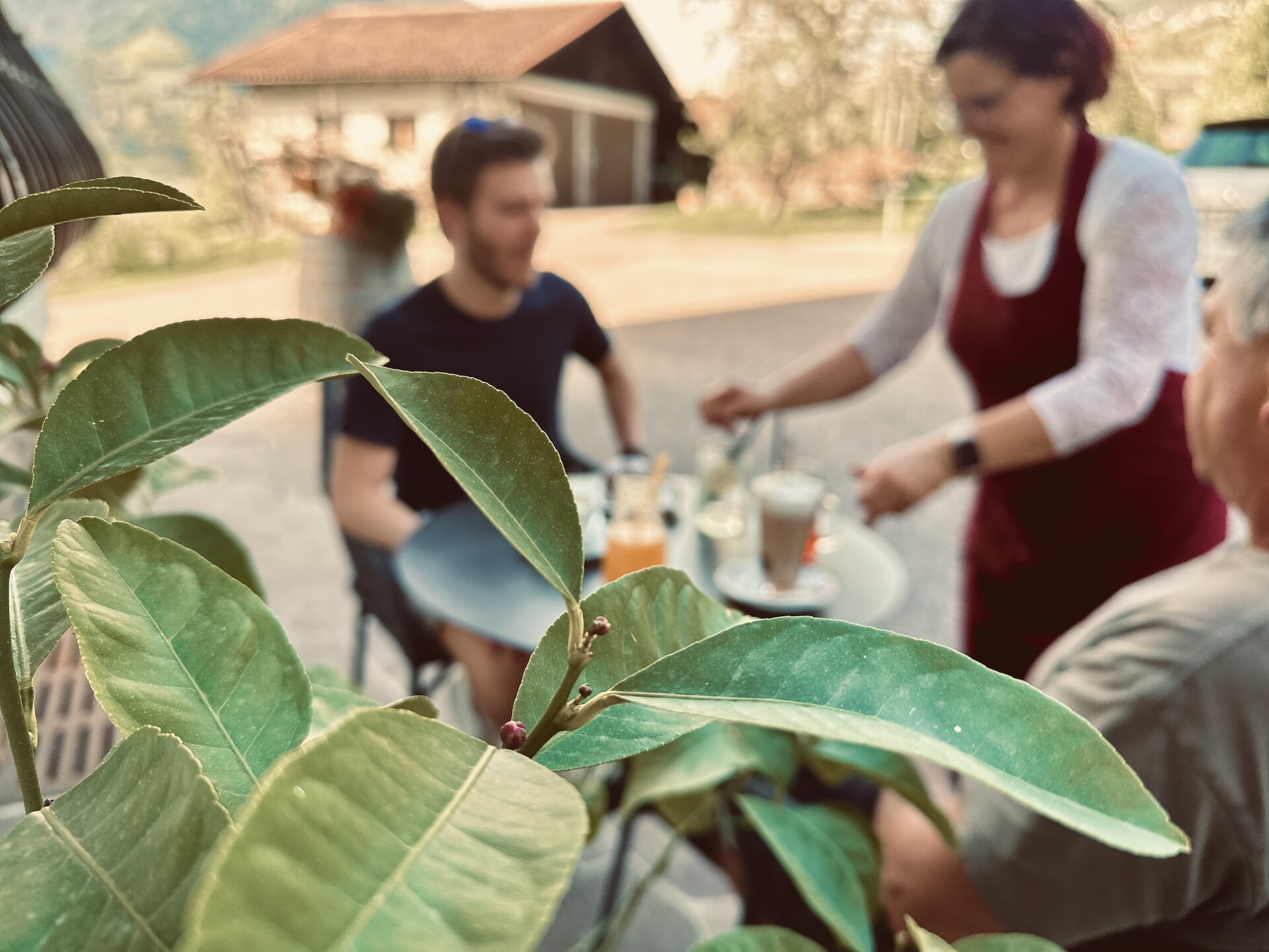 Garten