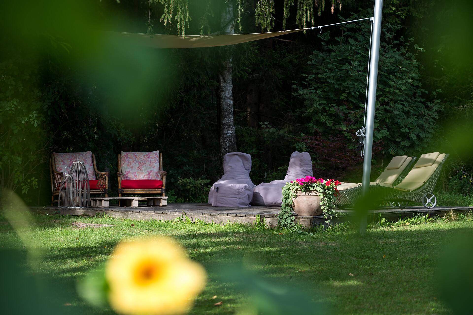 Garden