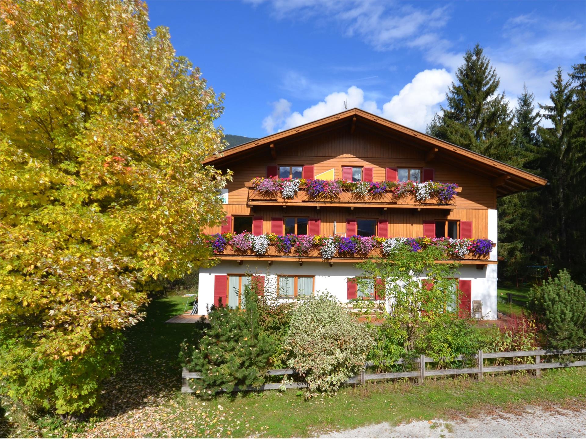 Residence Veider Rasun Anterselva 1 suedtirol.info