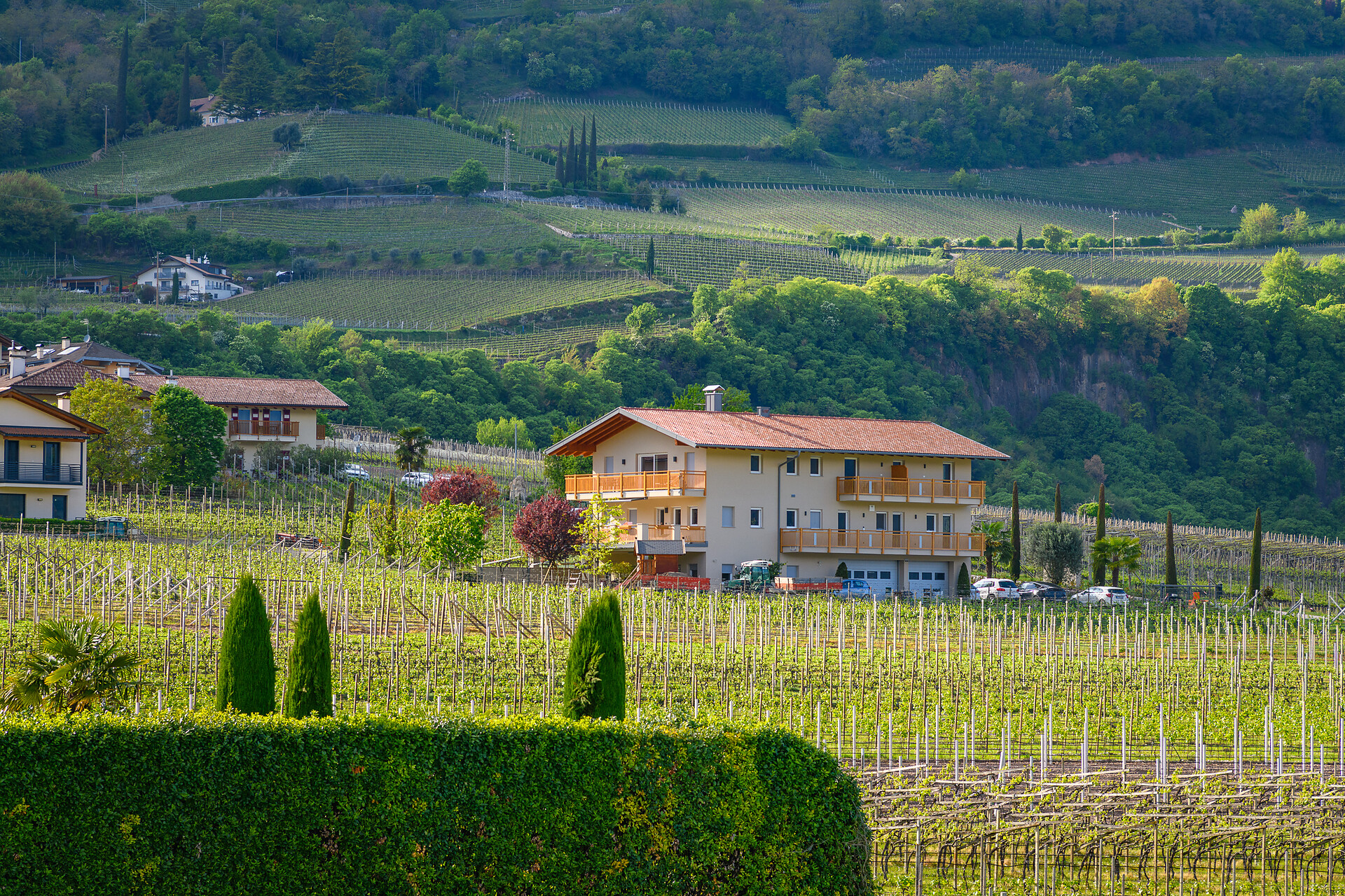 Rosenhof - Alto Adige Wine Road - #4 - suedtirol.info