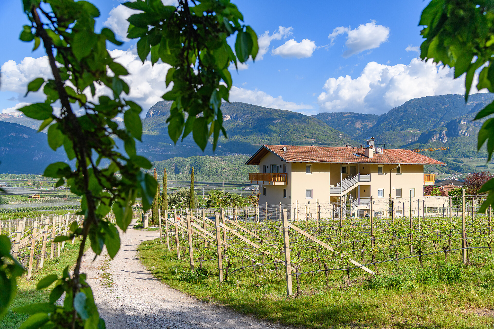 Rosenhof - Alto Adige Wine Road - #3 - suedtirol.info