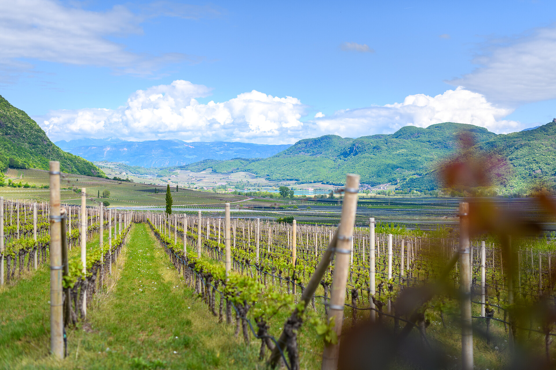 Rosenhof - Alto Adige Wine Road - #7 - suedtirol.info