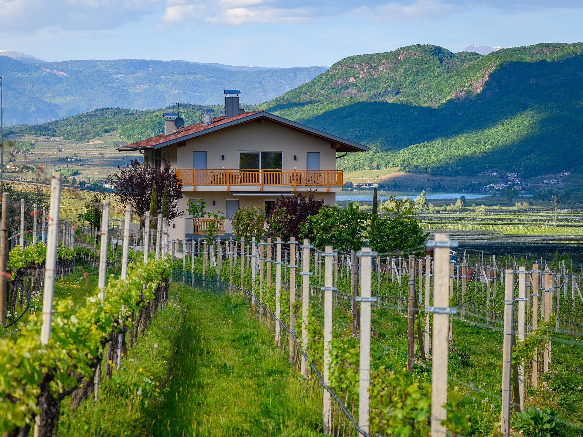 Rosenhof - Alto Adige Wine Road - #1 - suedtirol.info