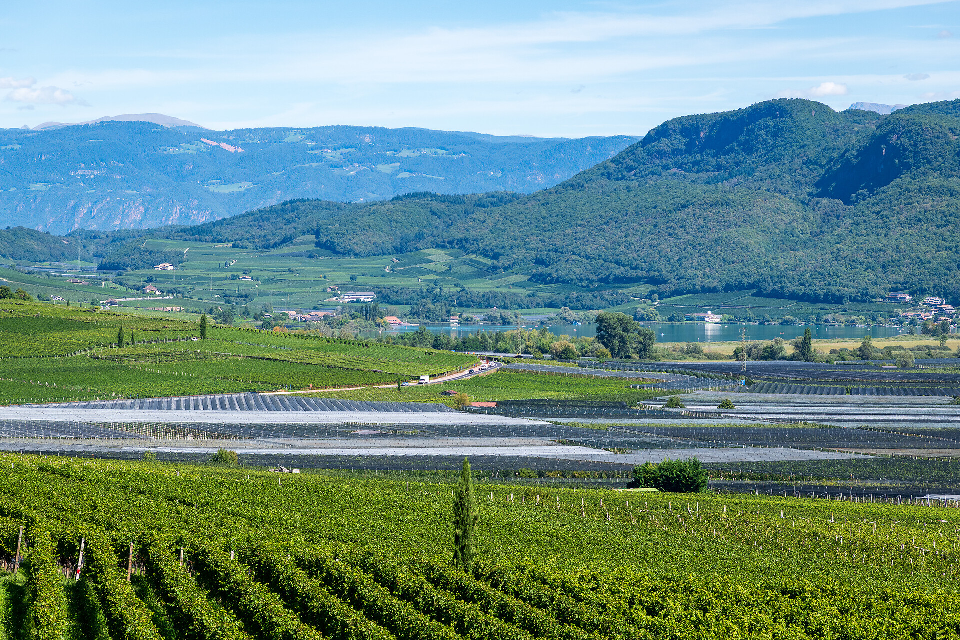 Rosenhof - Alto Adige Wine Road - #6 - suedtirol.info