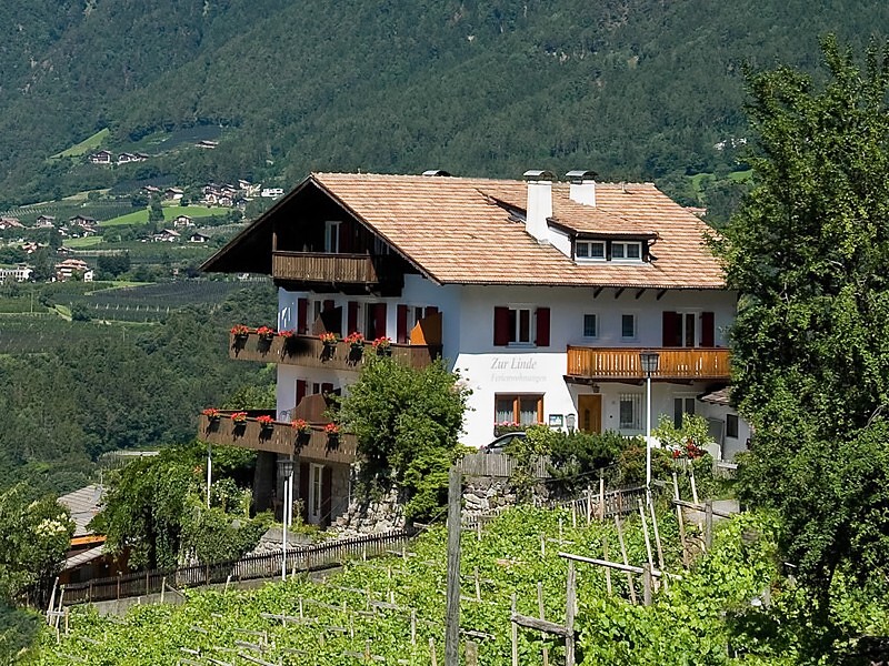 Residence Zur Linde - Meran und Umgebung - #1 - suedtirol.info