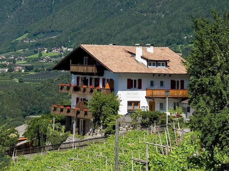 Residenza Zur Linde Scena 1 suedtirol.info