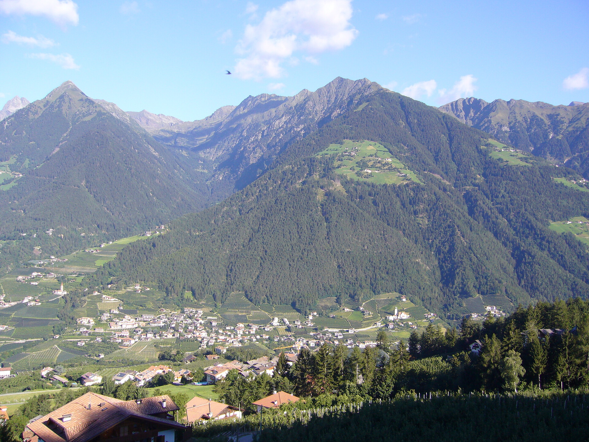 panoramasight
