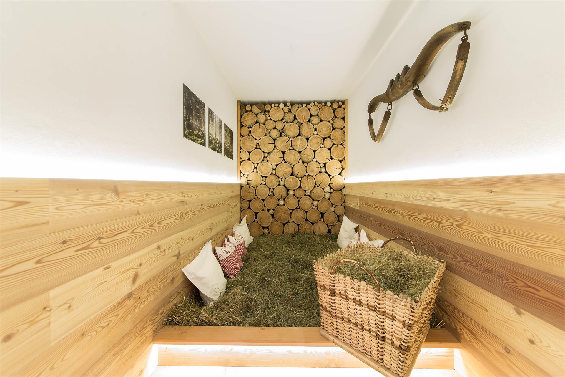 Residence Pöder Ulten 5 suedtirol.info
