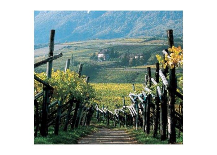 Residence Ganterer Nals/Nalles 4 suedtirol.info