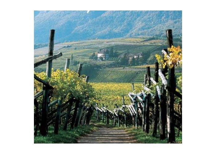 Residence Ganterer Tisens 4 suedtirol.info