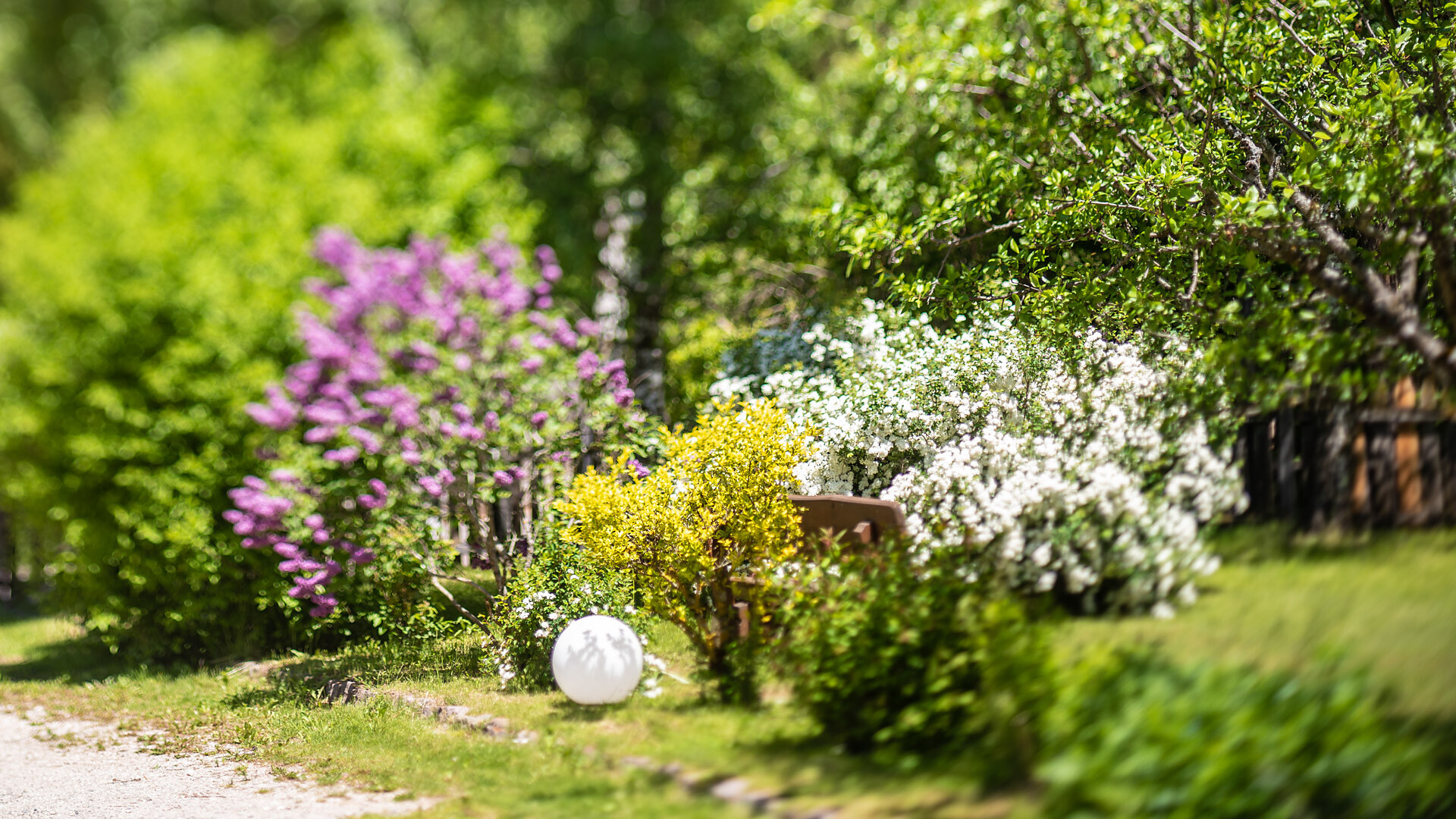 Garten