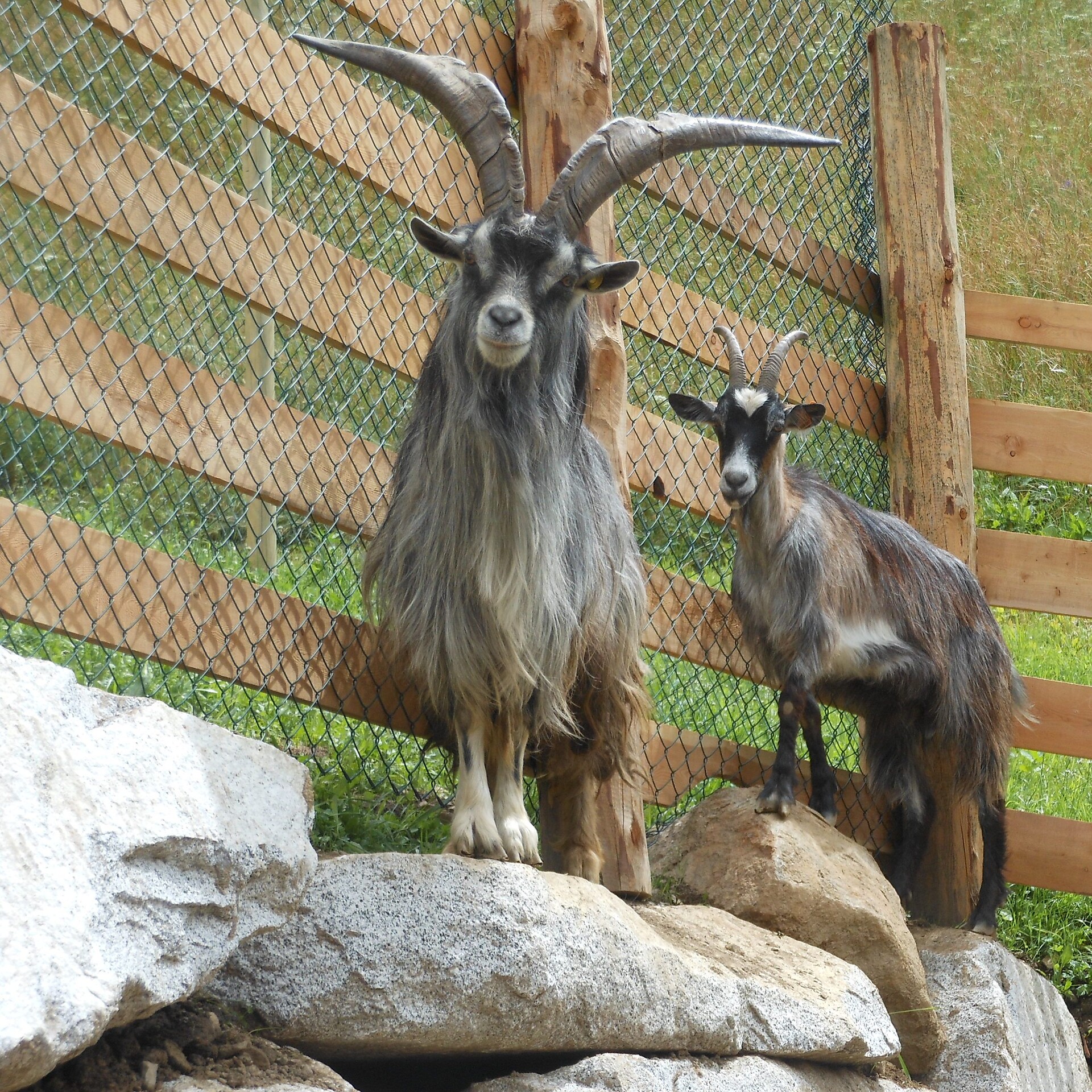 Parco faunistico