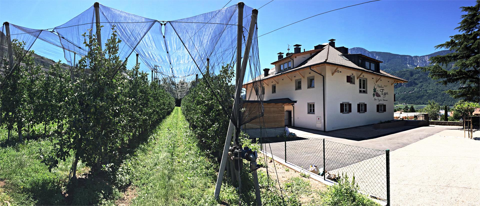 Residence Egger Terlan/Terlano 3 suedtirol.info