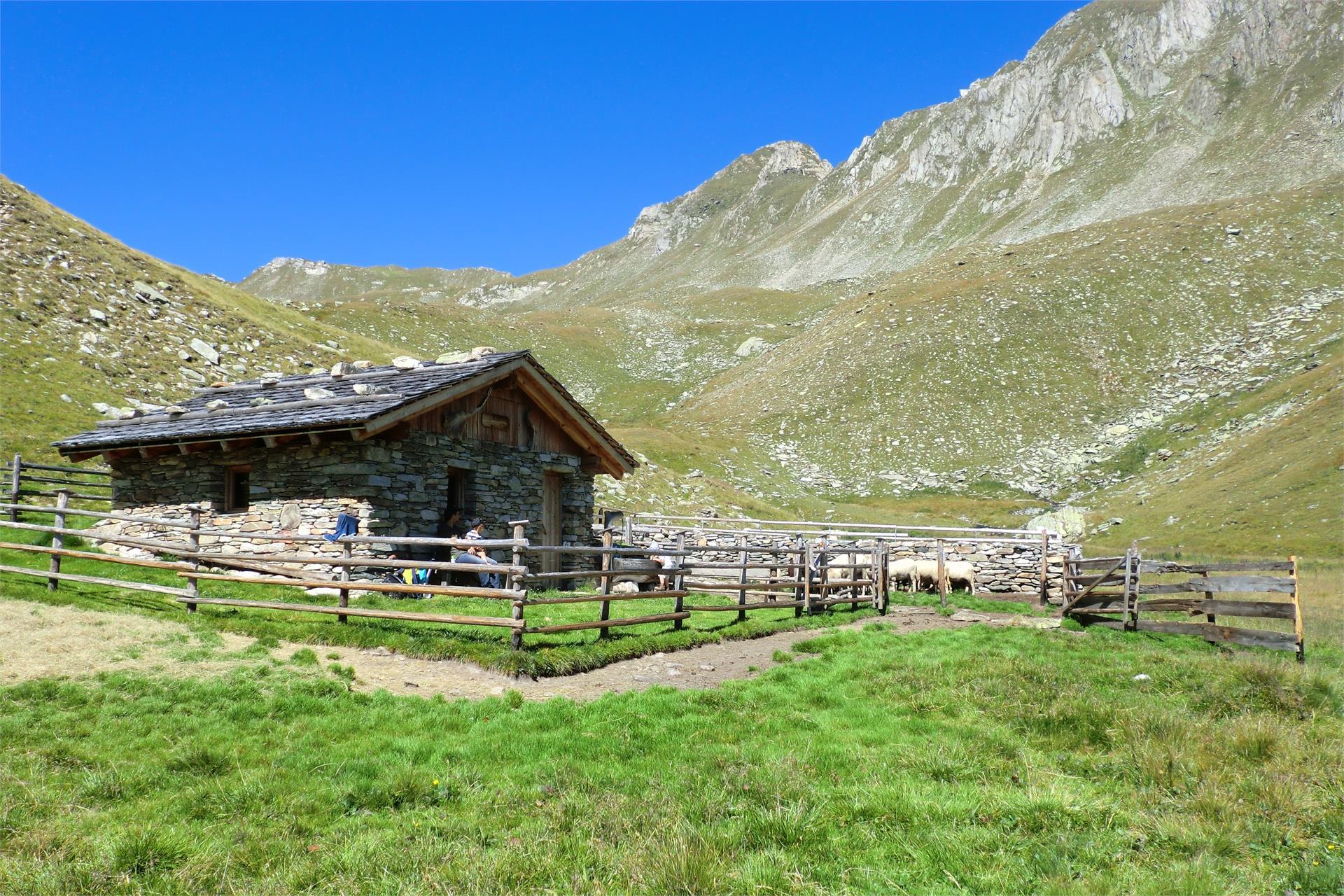 Redenhof Mühlwald/Selva dei Molini 24 suedtirol.info