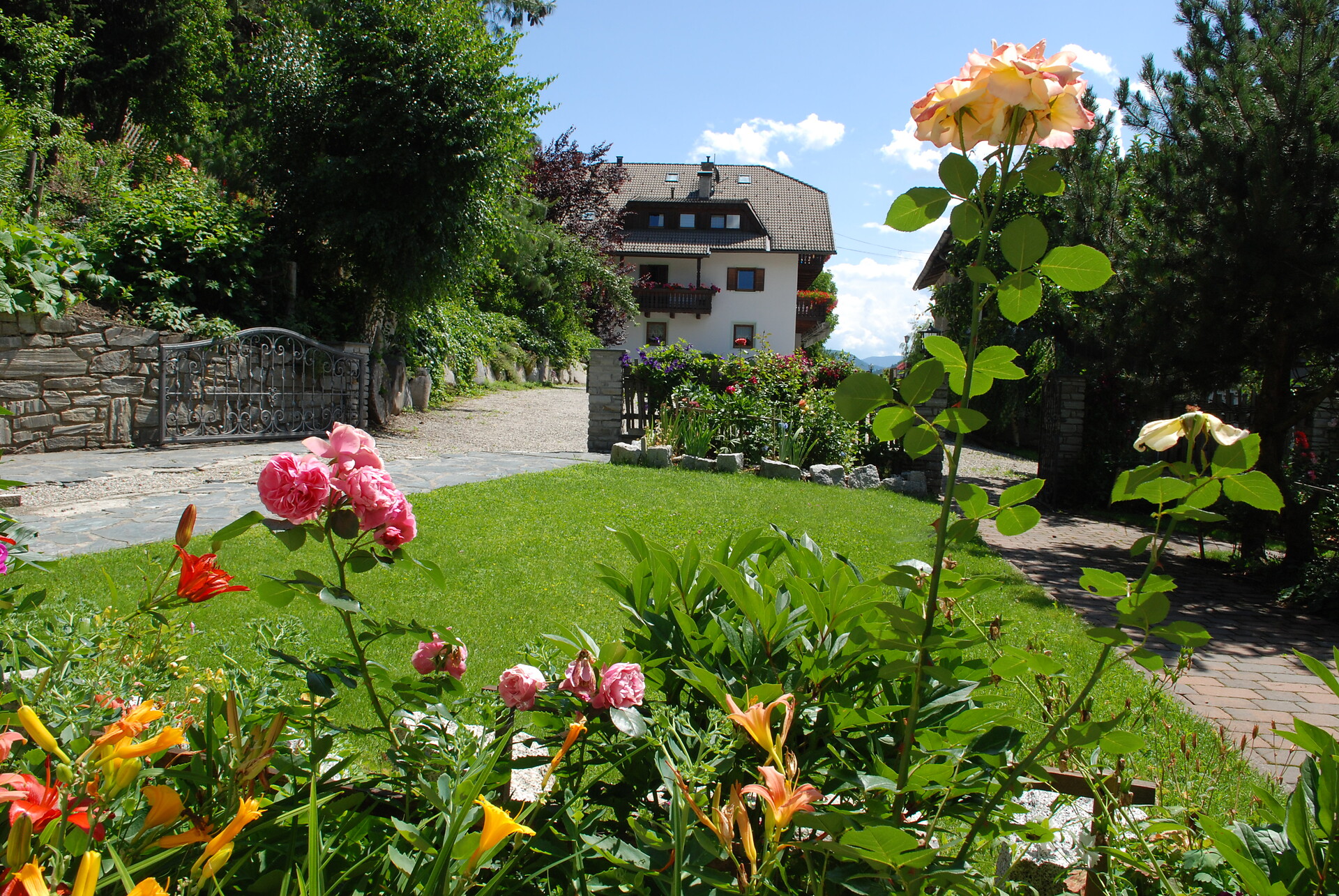 Our flowers
