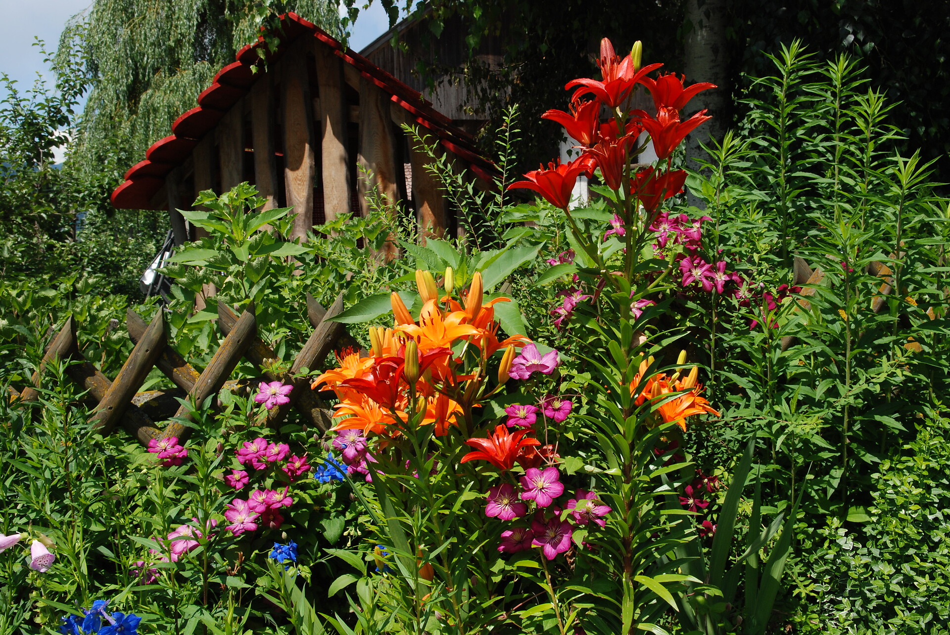 Our flowers