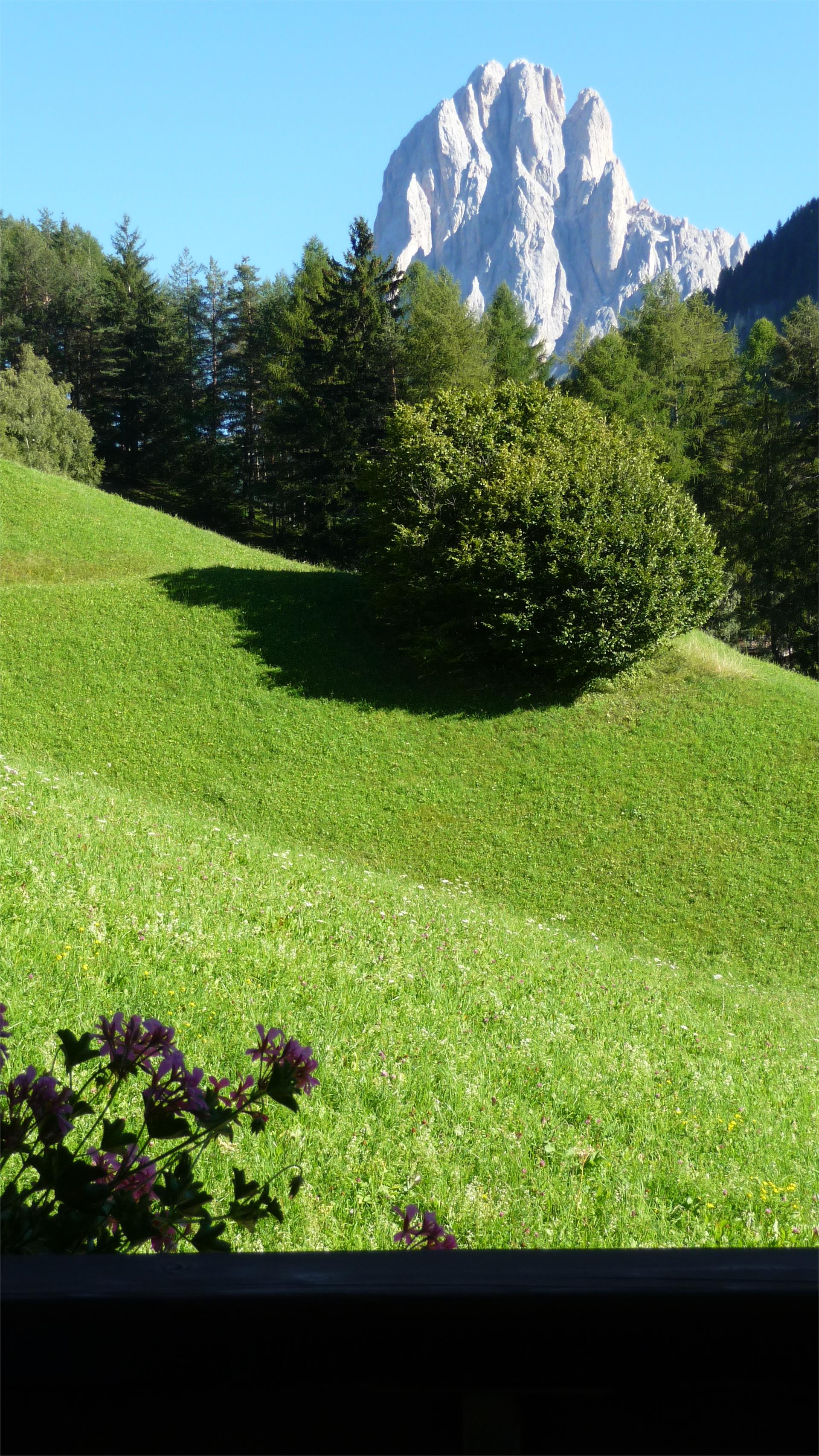 Residence Prapoz St.Ulrich 14 suedtirol.info