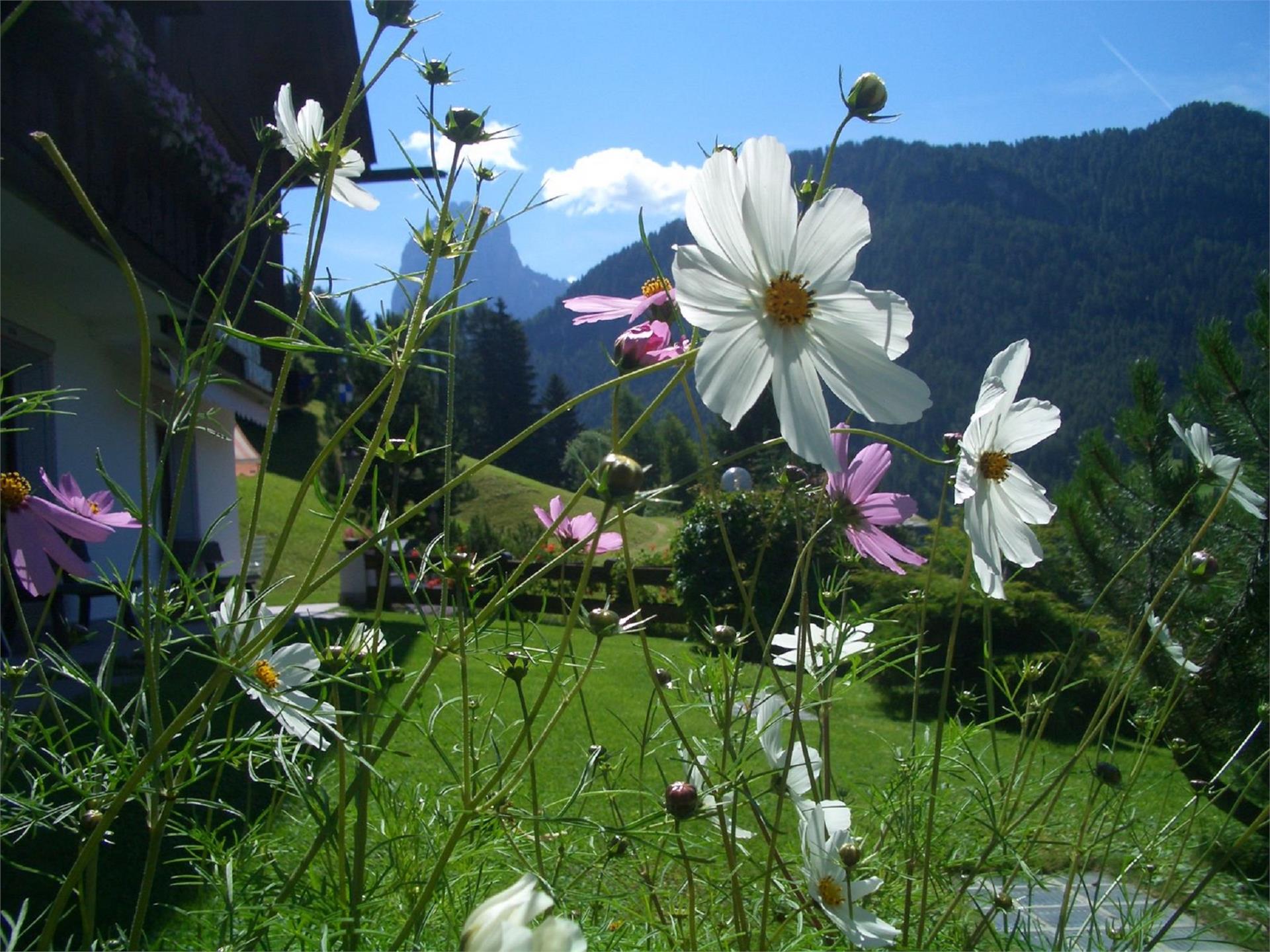 Residence Prapoz St.Ulrich 6 suedtirol.info