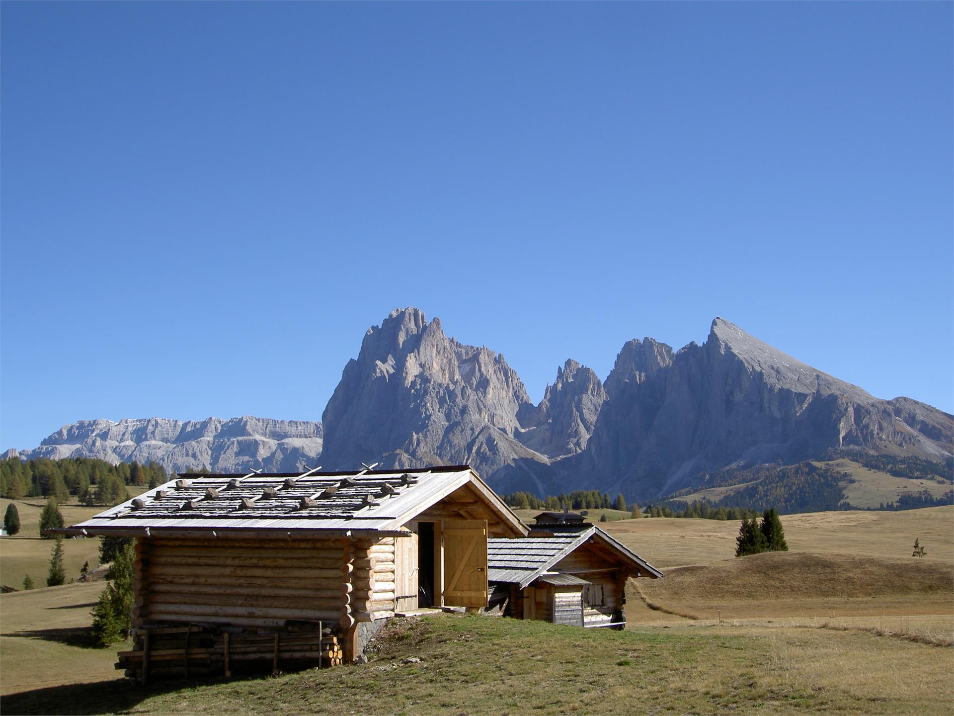 Residence Sisi Urtijëi/Ortisei 15 suedtirol.info