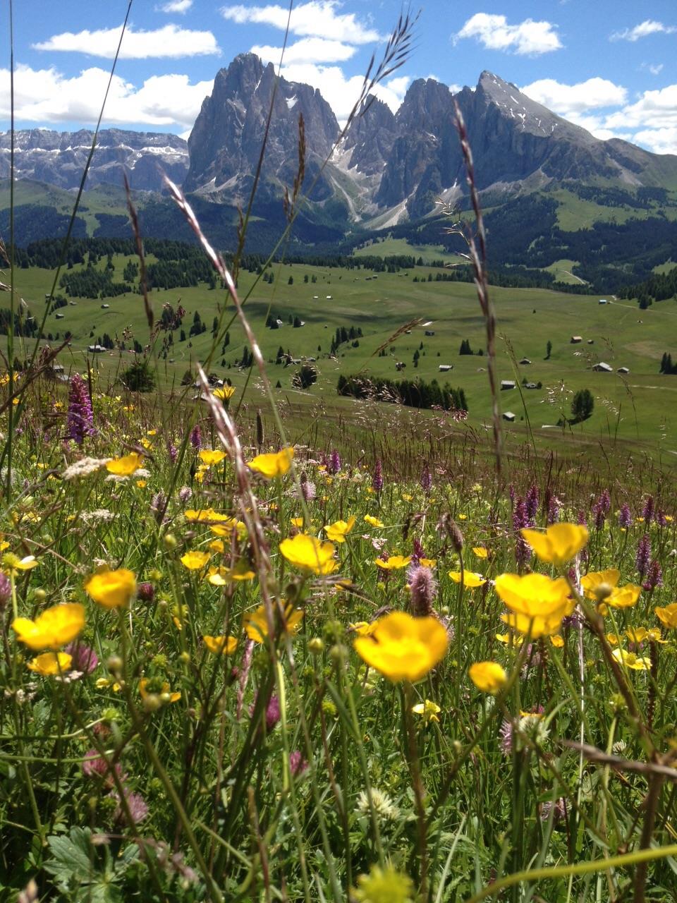 Residence La Planta St.Ulrich 8 suedtirol.info