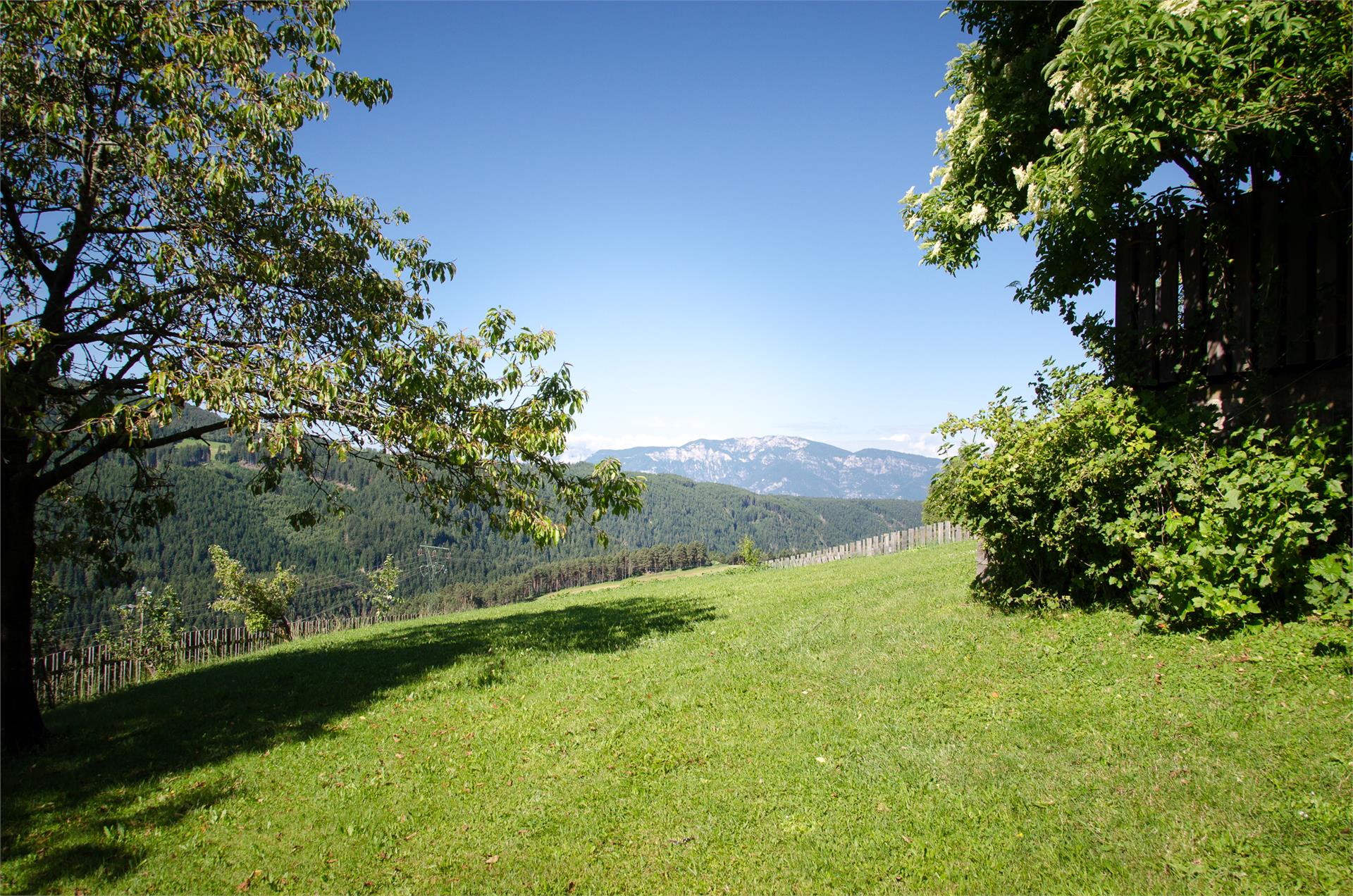 Residence Villa Paul Deutschnofen 6 suedtirol.info