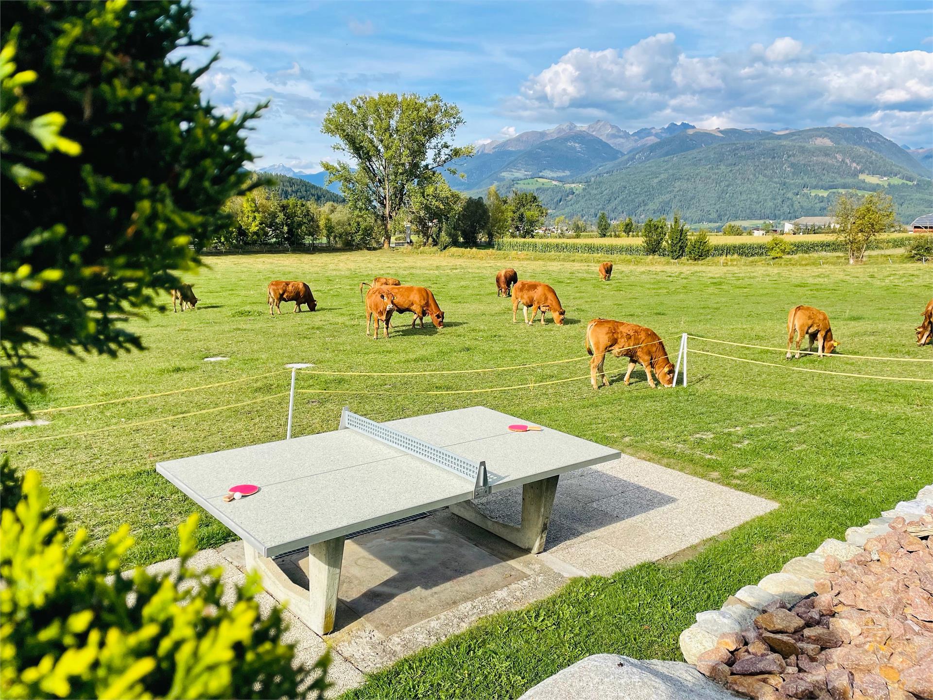 Residence Untermoarhof Bruneck/Brunico 17 suedtirol.info