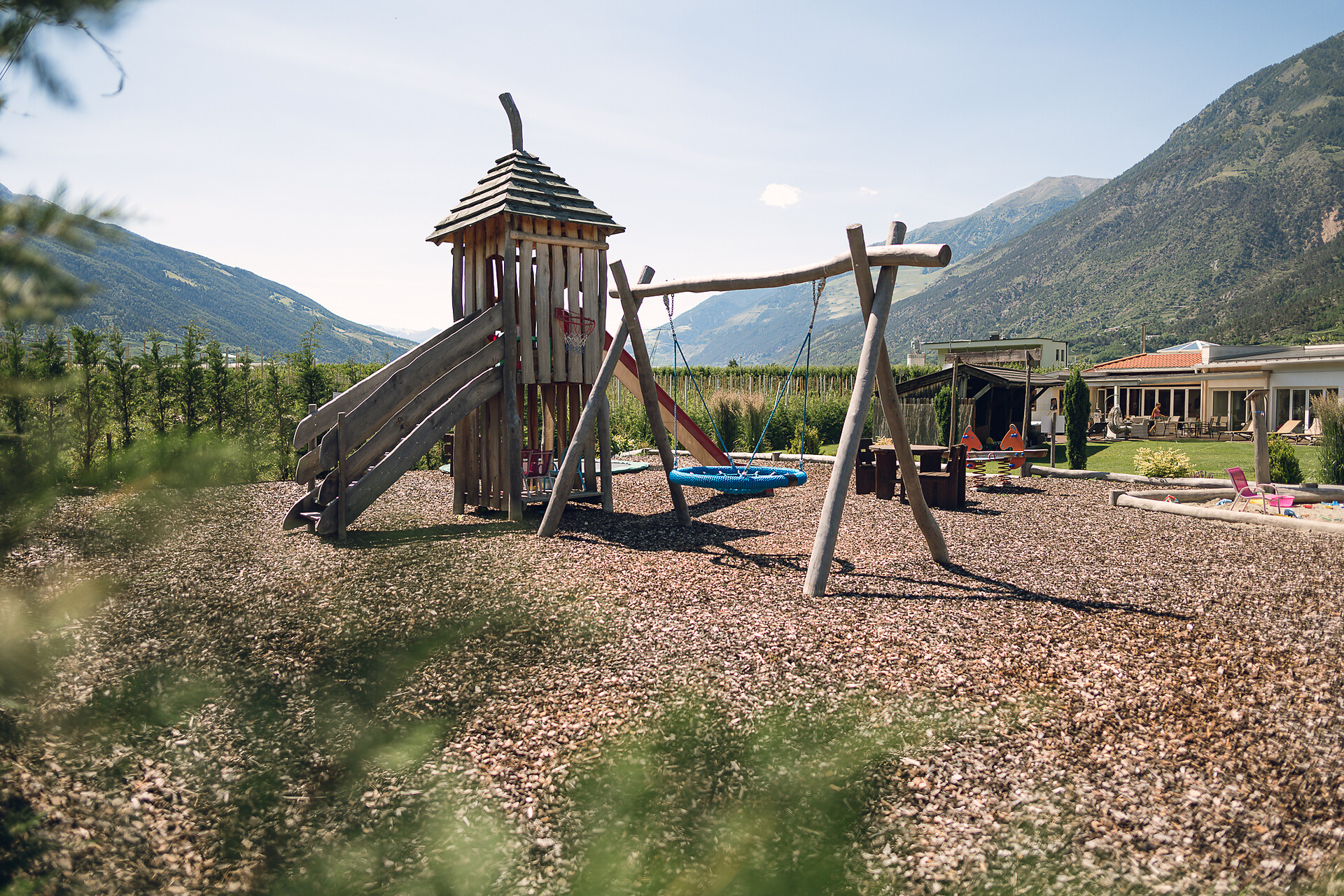 Bird swing