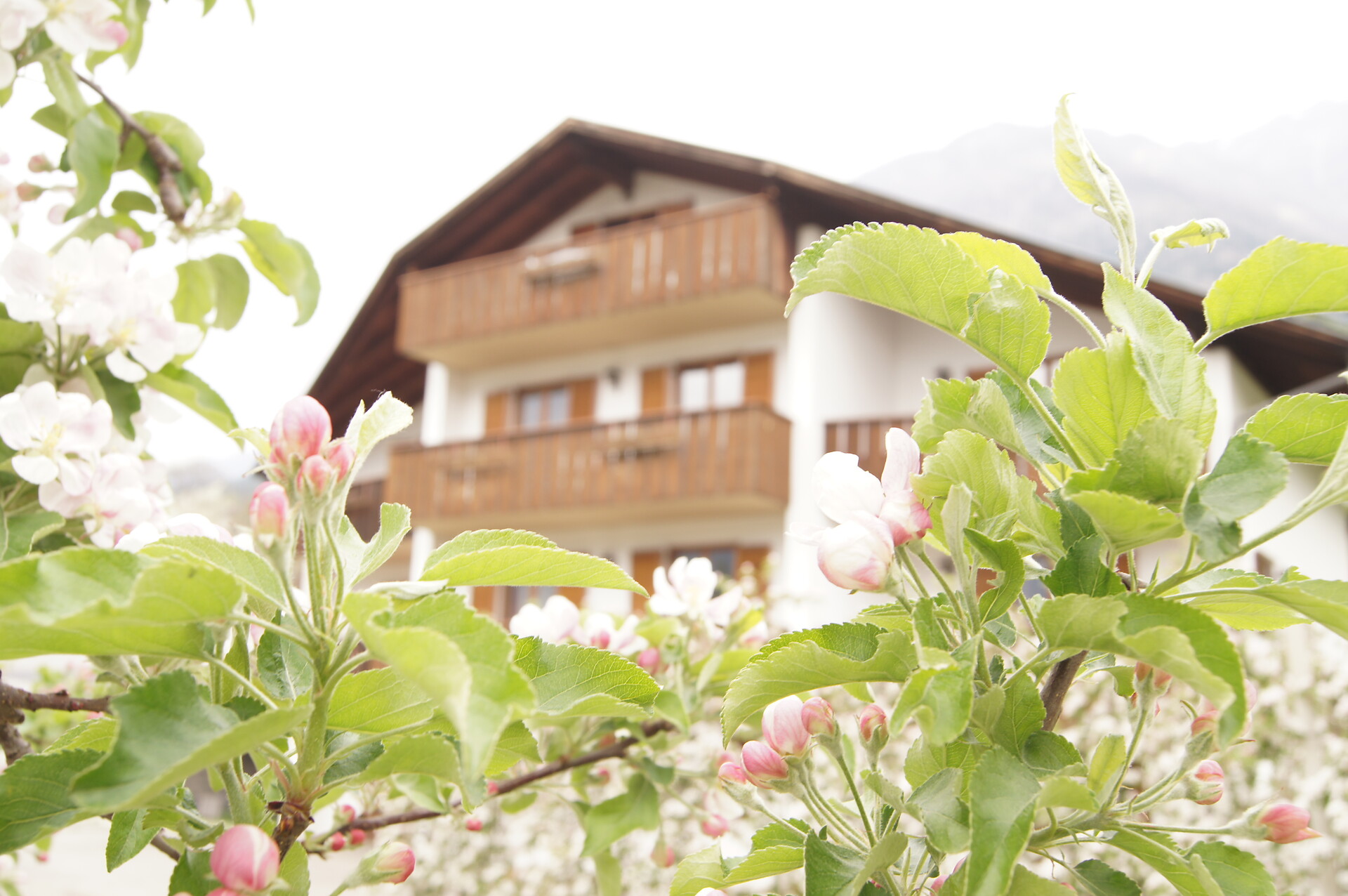 Residence Kiem