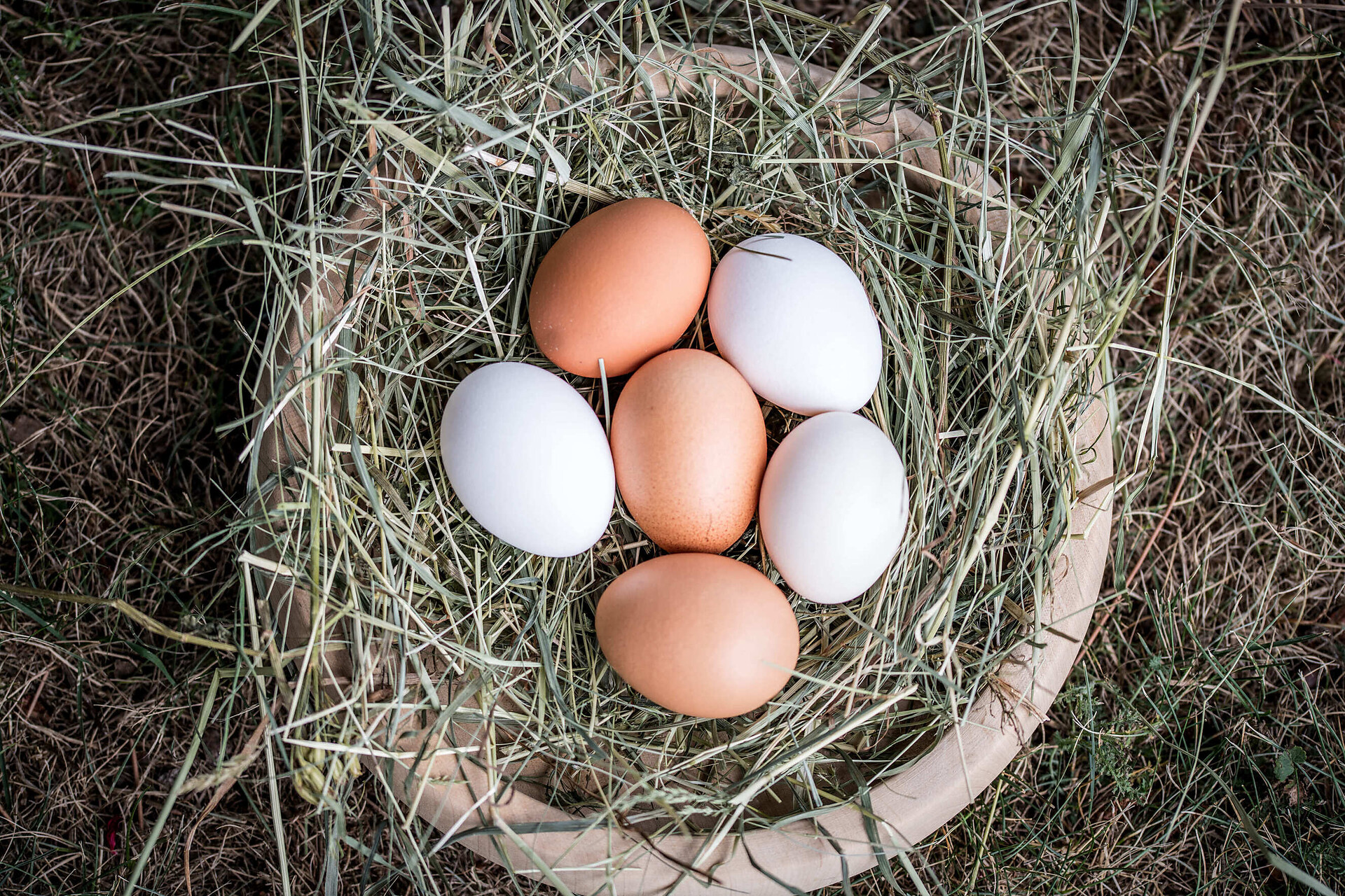 Farm products