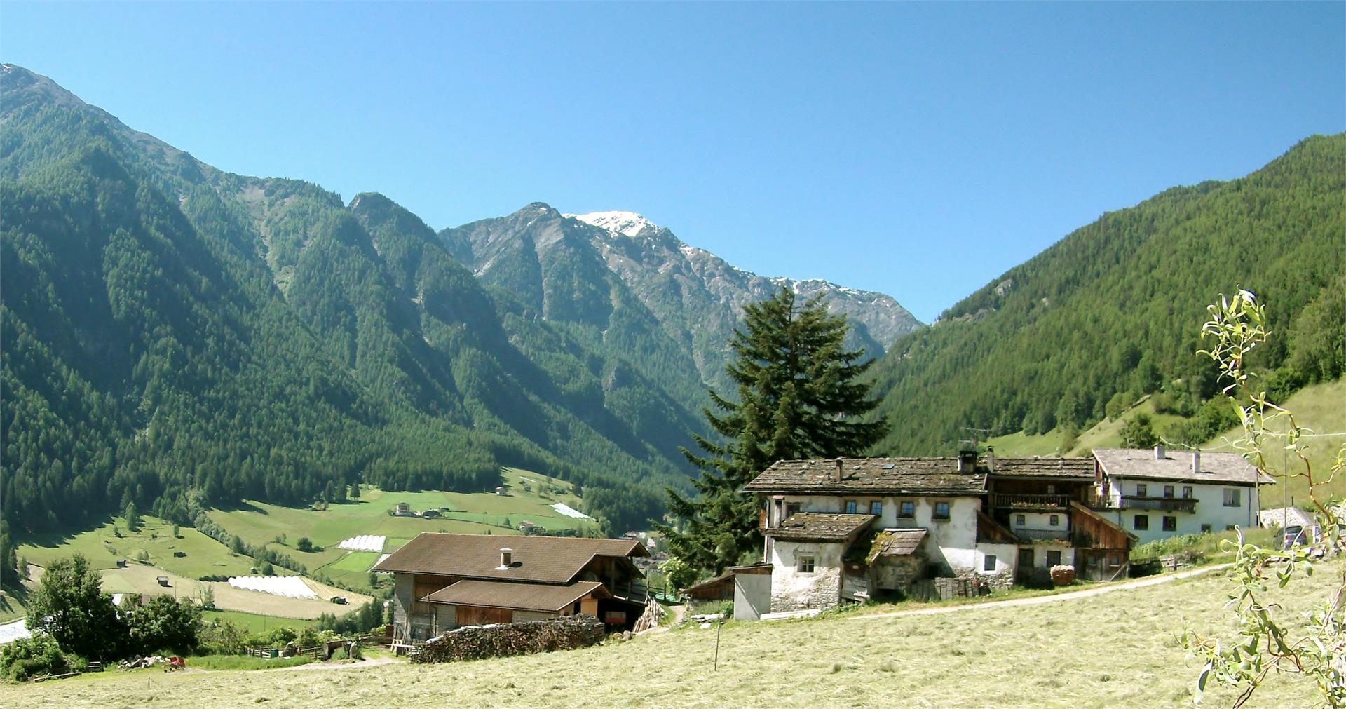 Alpenrose Martell/Martello 4 suedtirol.info
