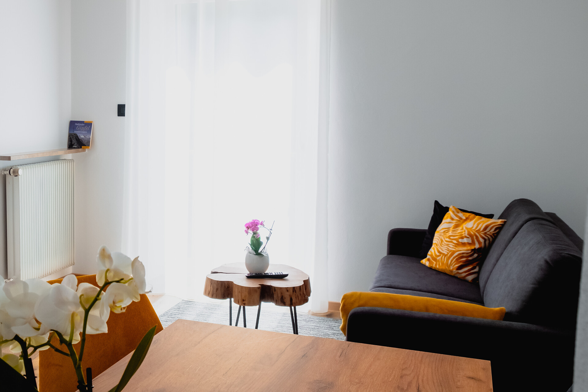 Riffl Apartment Anna