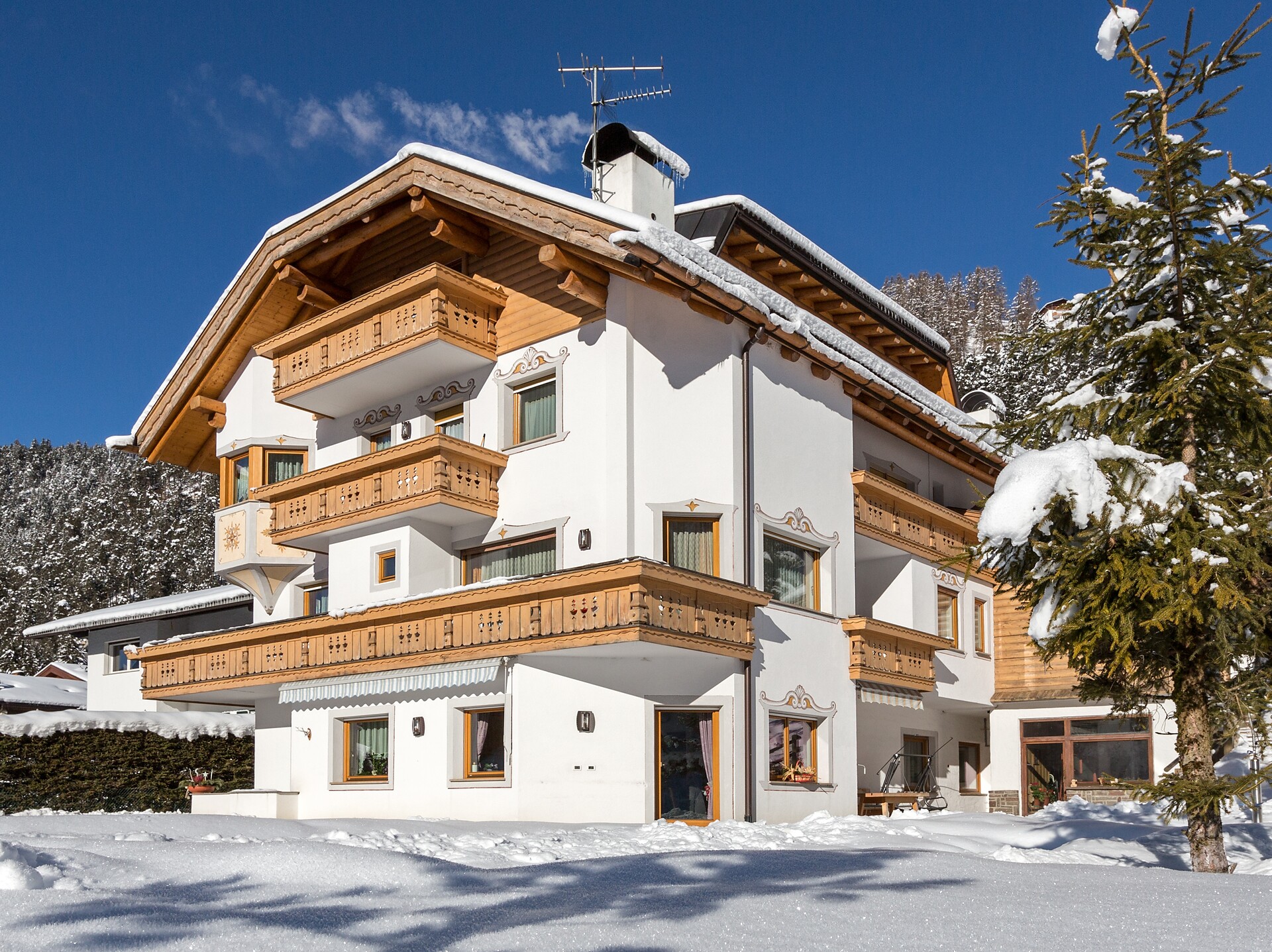 Garni Telemark winter