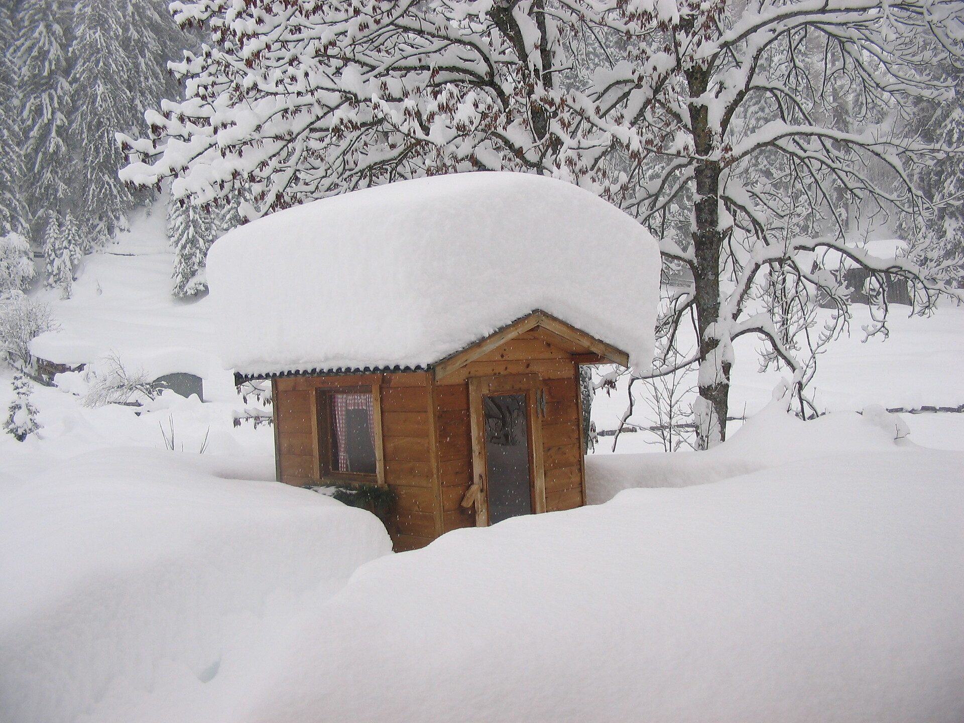 winter