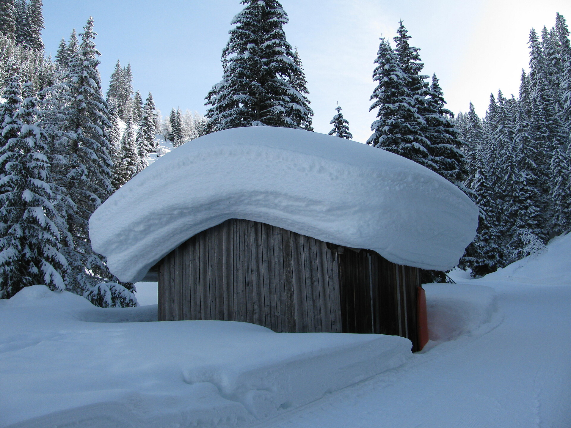 winter