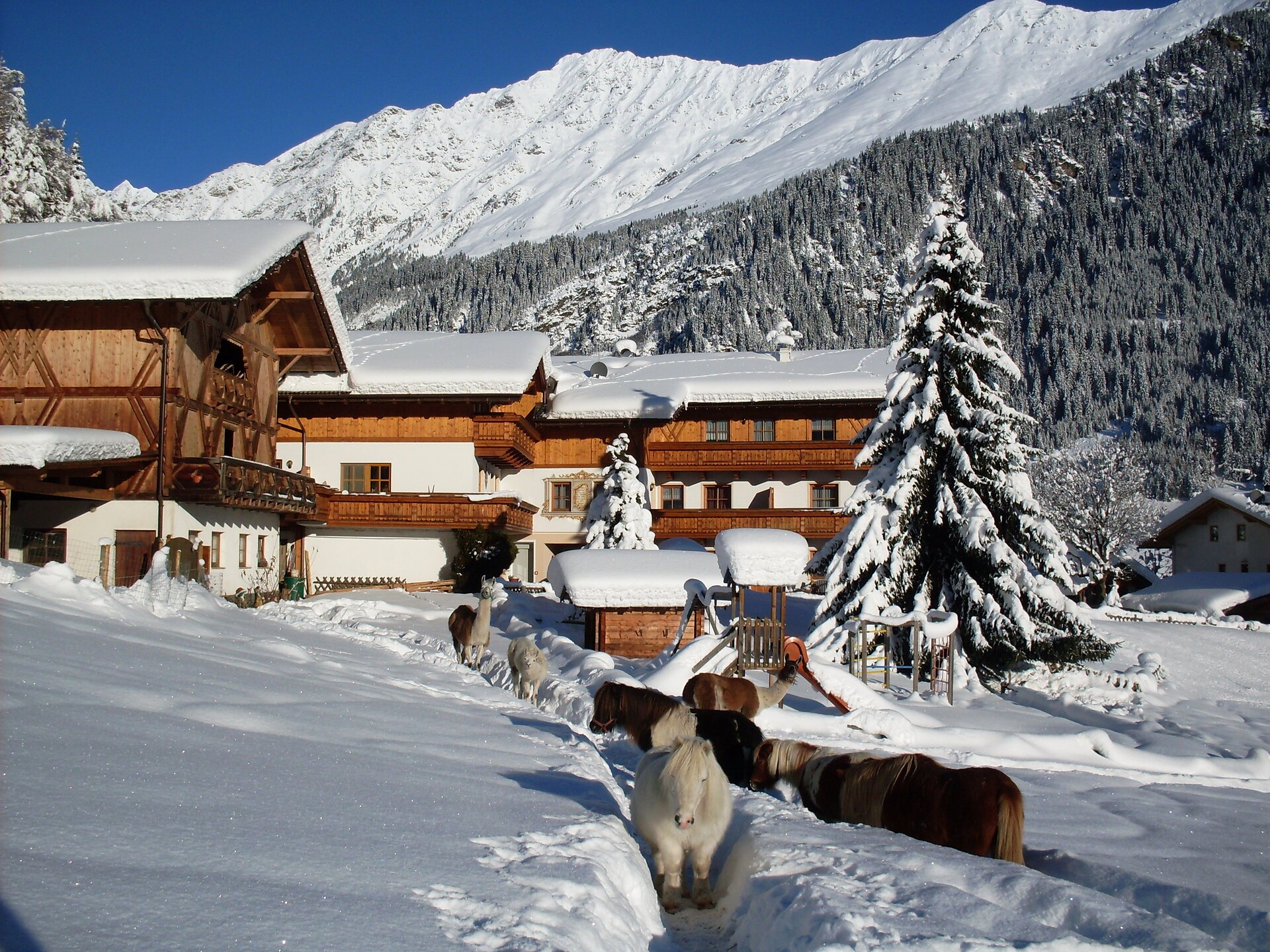 Residence Landhaus Rainer