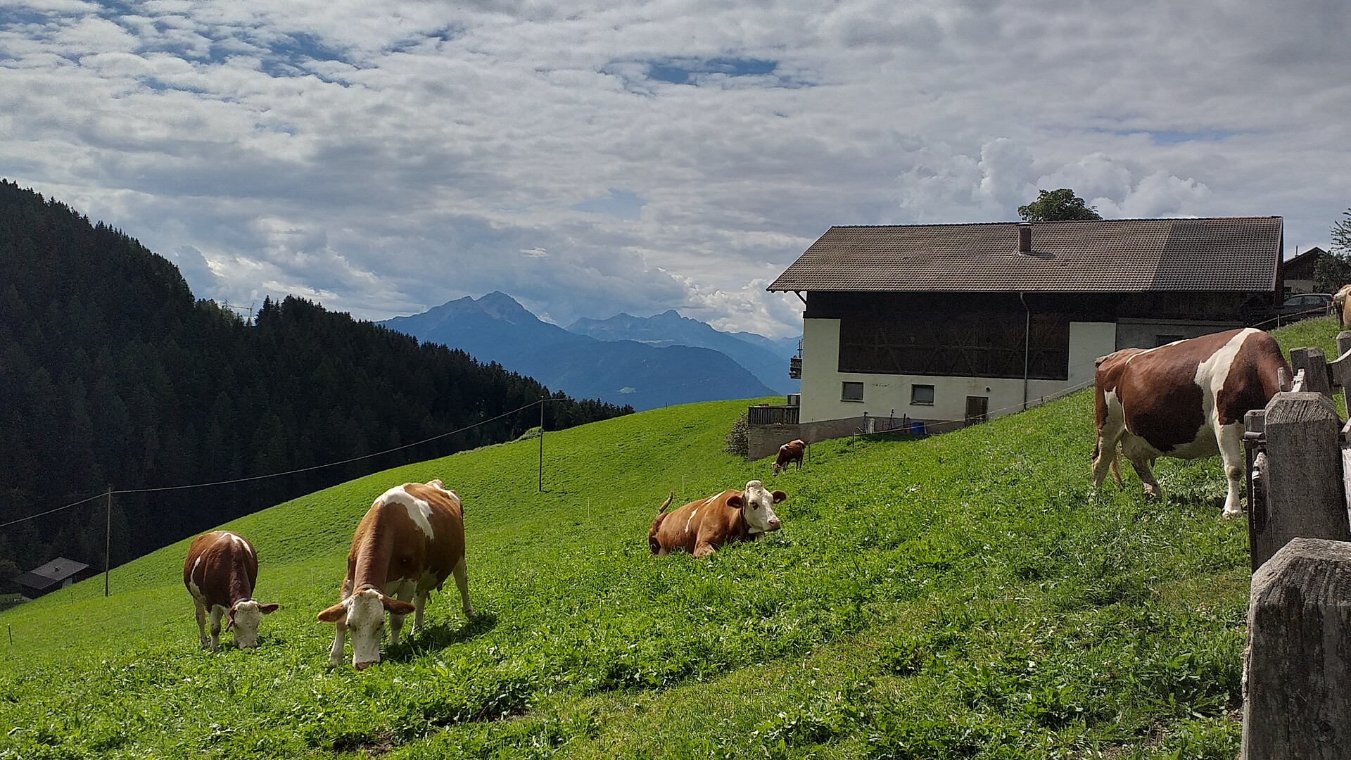 Reiterer Hof Avelengo 10 suedtirol.info