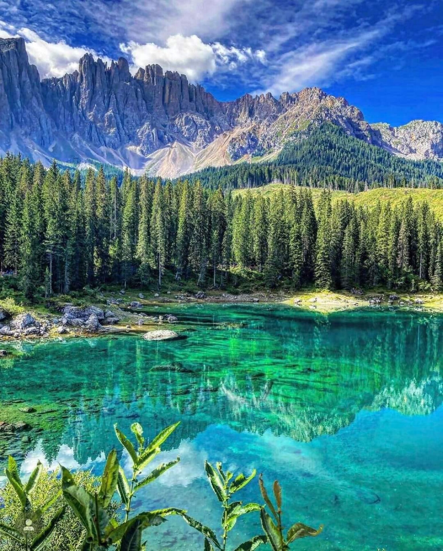 Grand Hotel Carezza Residence Welschnofen 8 suedtirol.info