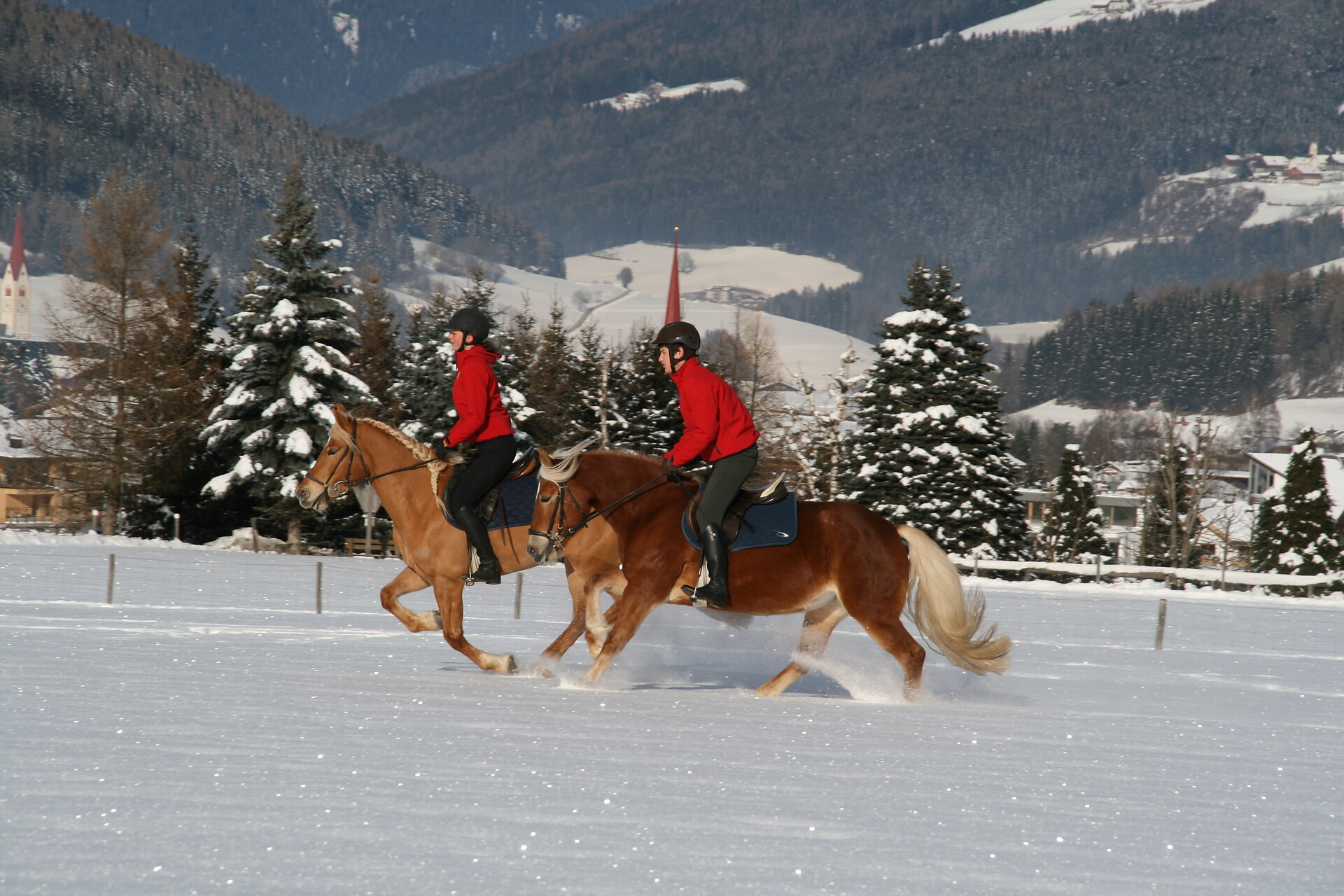 Reiten
