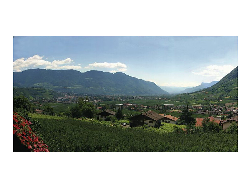 Panorama