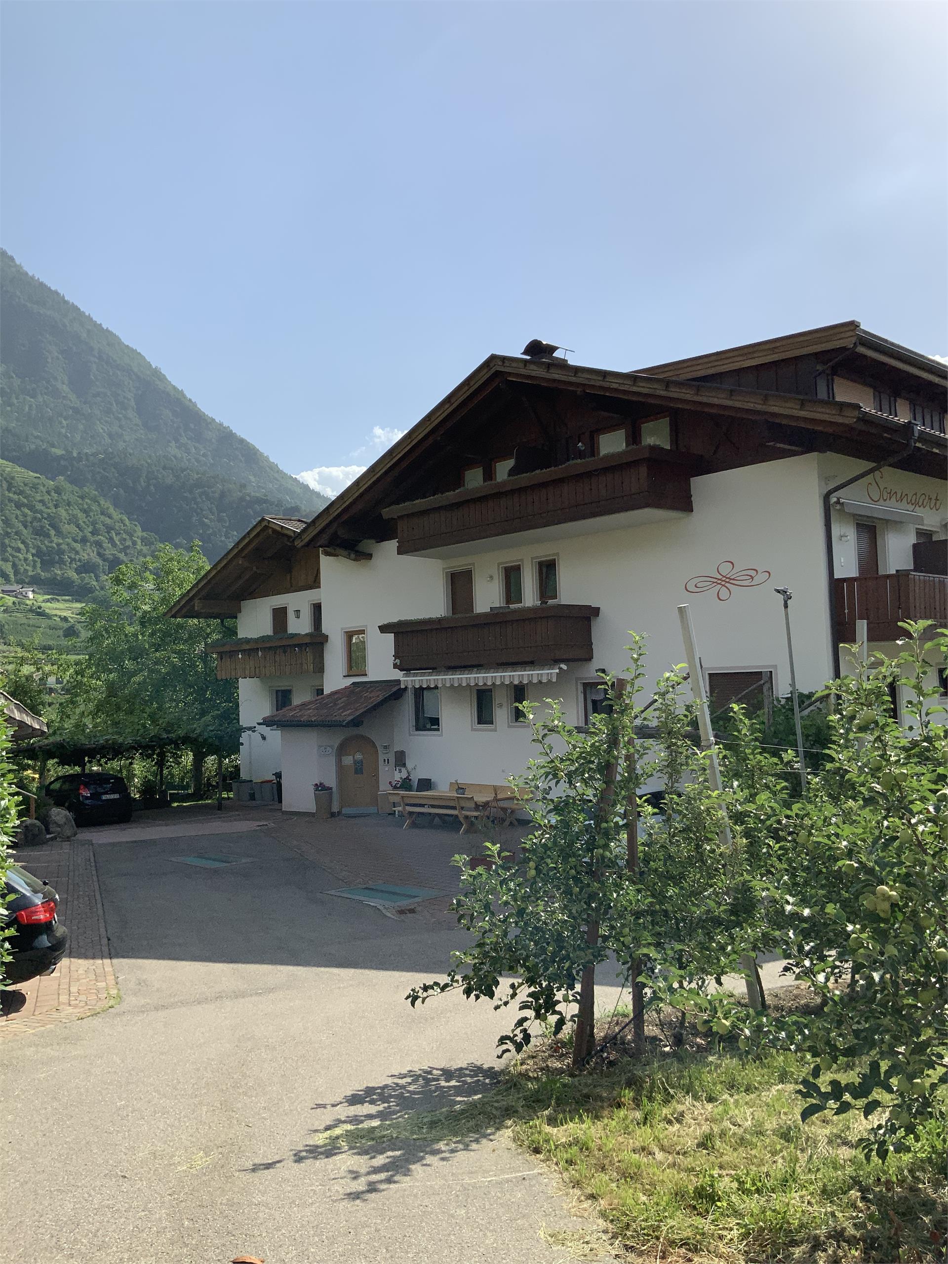 Residence Pensione Sonngart Lagundo 3 suedtirol.info