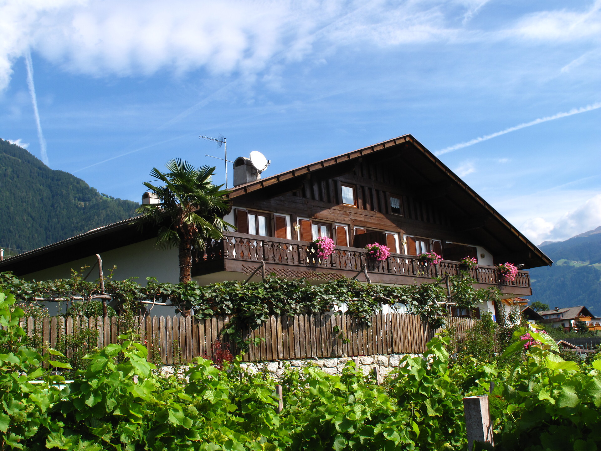 Residence Lenzenau - Meran/Merano and environs - #1 - suedtirol.info