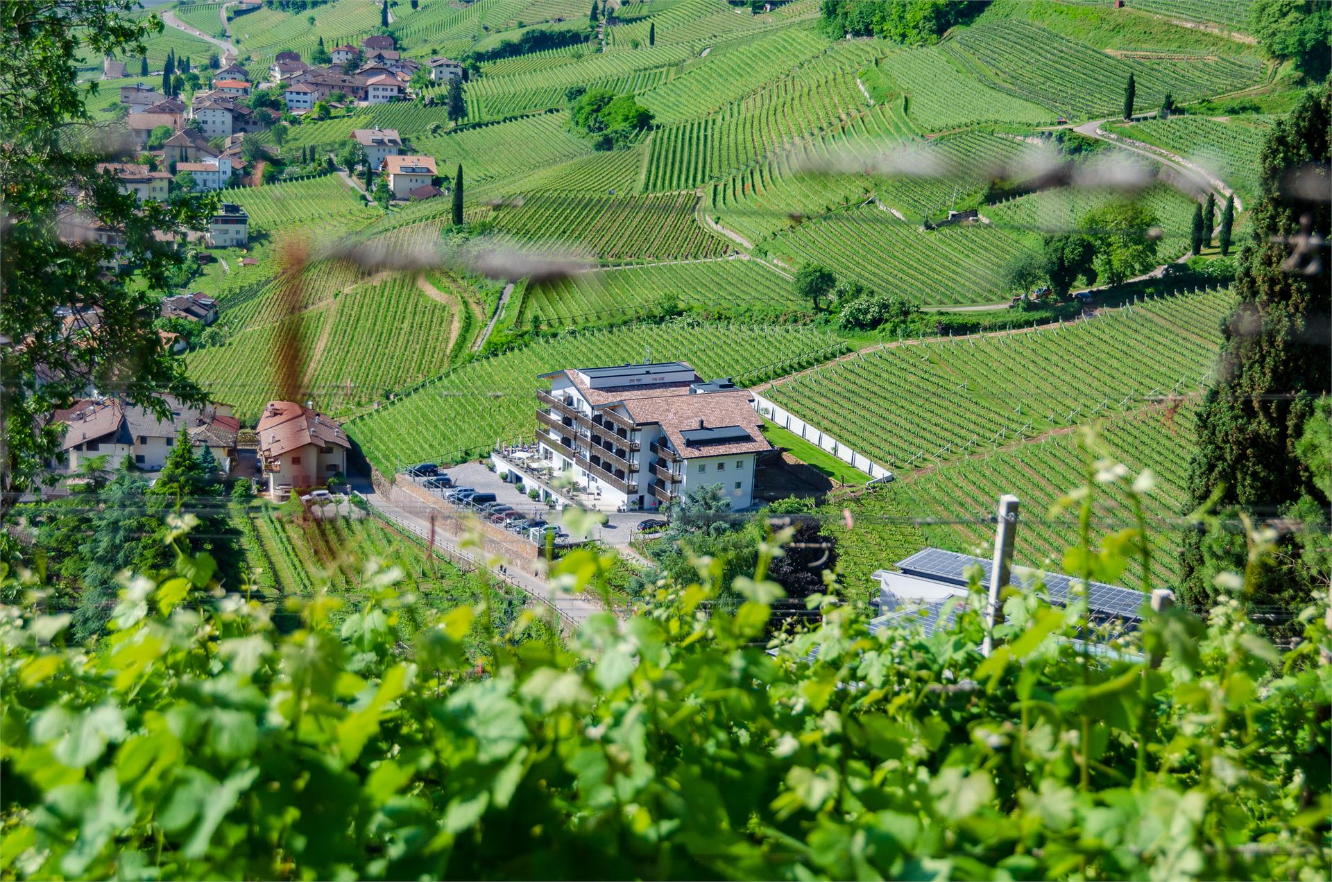 Residence Garni Hotel Vineus Tramin an der Weinstraße 8 suedtirol.info