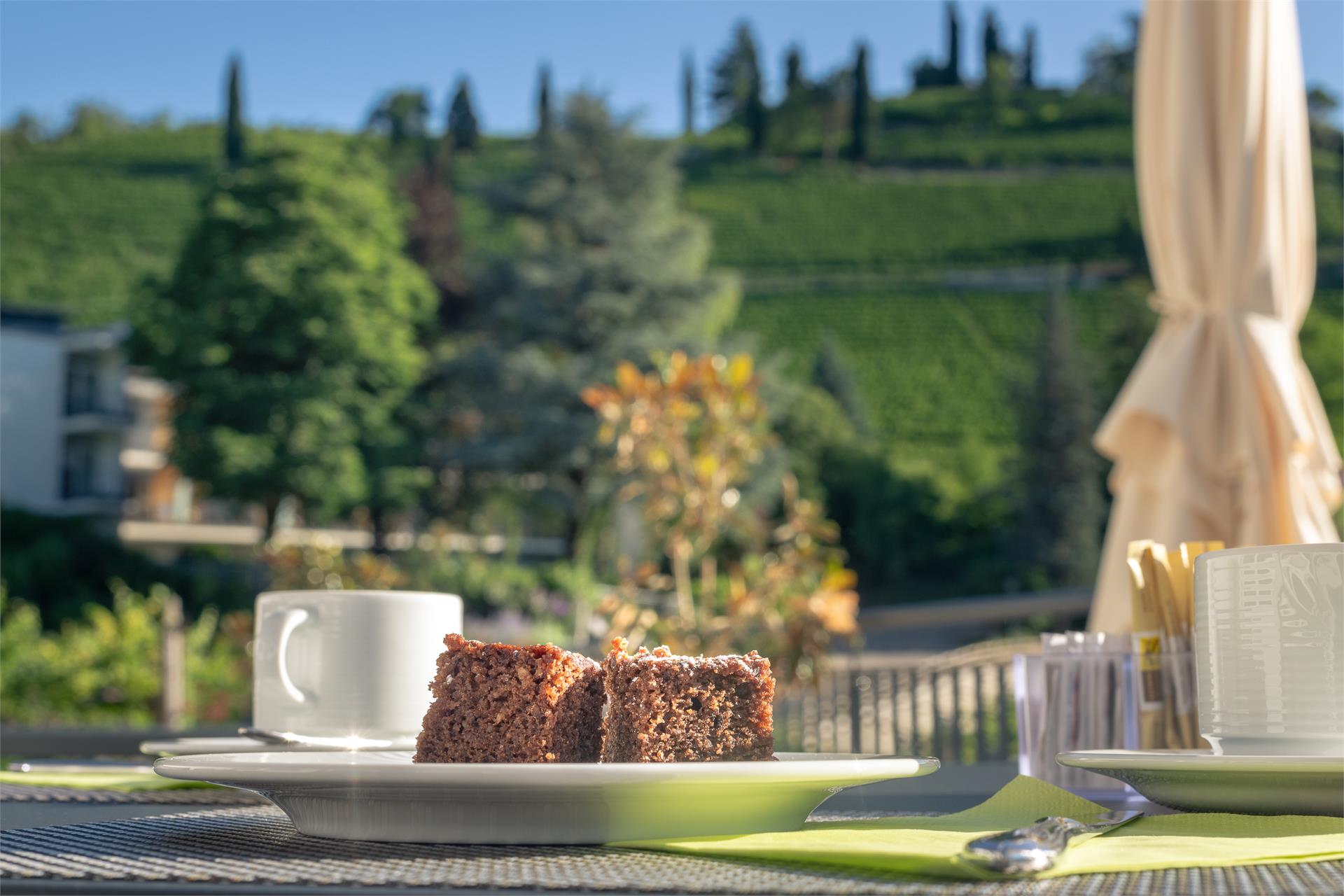 Residence Garni Hotel Vineus Tramin an der Weinstraße 25 suedtirol.info