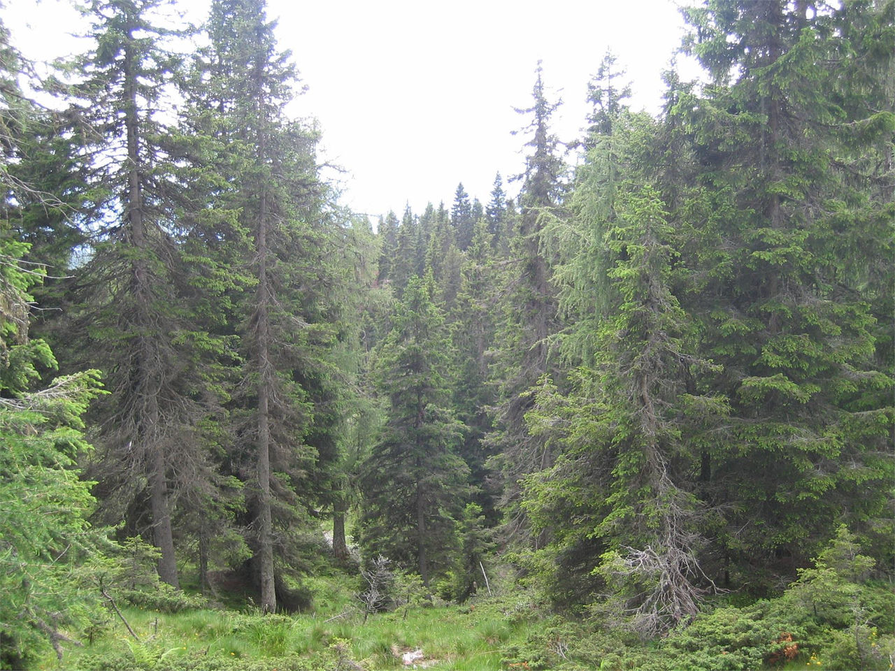 Slide 15